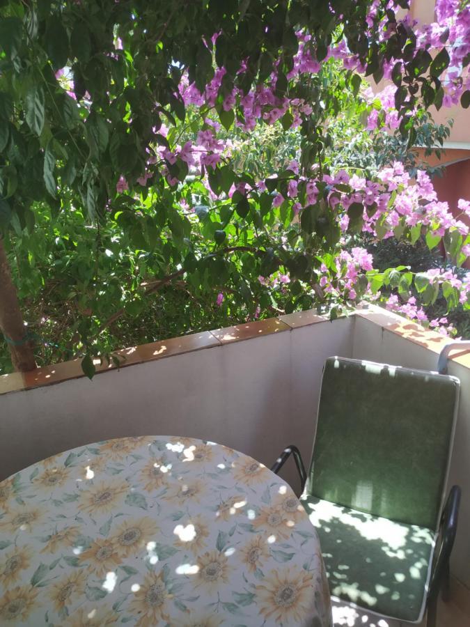 Apartmani Abeona Budva Exterior foto